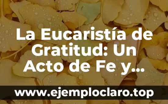 Frases para un amigo de verdad: Expresiones de aprecio y gratitud 5 La Eucaristía de Gratitud: Un Acto de Fe y Agradecimiento