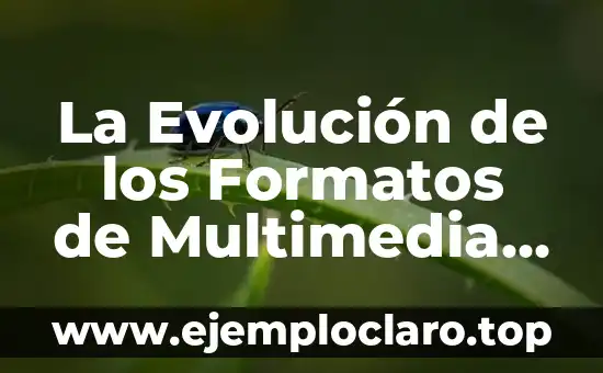La Evolución de los Formatos de Multimedia a Través de las Décadas