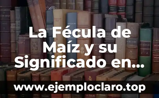 La Fécula de Maíz y su Significado en Gastronomía