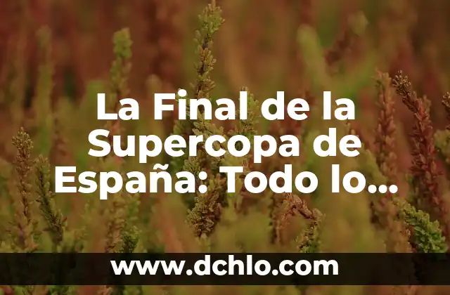 La Emoción del Final de la Supercopa de Baloncesto: Todo lo que Necesitas Saber 8 La Final de la Supercopa de España: Todo lo que Necesitas Saber