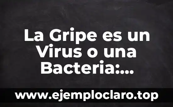 La Gripe es un Virus o una Bacteria: Descubre la Verdad