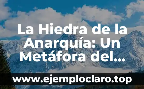La Hiedra de la Anarquía: Un Metáfora del Caos