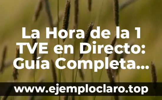 La Hora de la 1 TVE en Directo: Guía Completa y Detallada