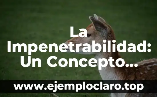 La Impenetrabilidad: Un Concepto Fascinante