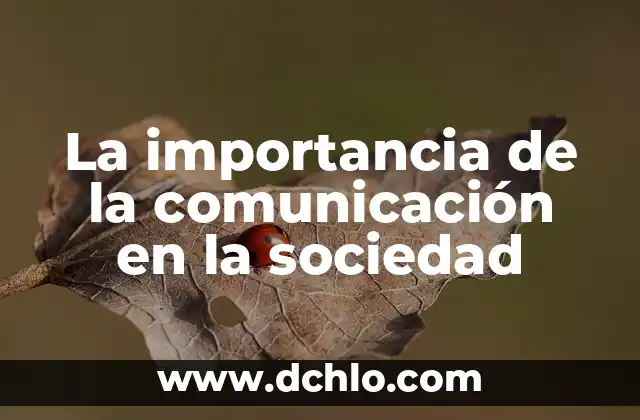 El Rol de la Casamentera en la Sociedad 3 La importancia de la comunicación en la sociedad