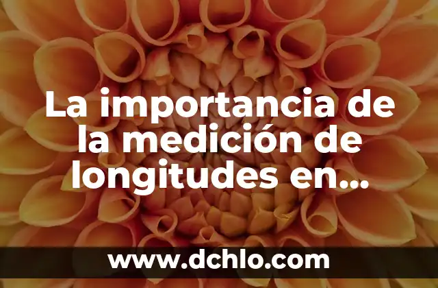 ¿Se Puede Congelar la Patata Cocida? Una Guía Completa 6 La importancia de la medición de longitudes en topografía: Una guía detallada