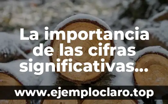Balanza de Pagos: Definición y Explicación Detallada 5 La importancia de las cifras significativas en la balanza analítica