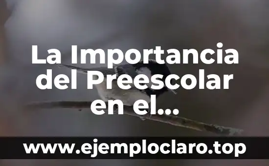 La Importancia del Preescolar en el Aprendizaje Significativo