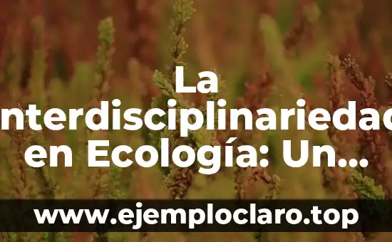 La Interdisciplinariedad en Ecología: Un Enfoque Integral