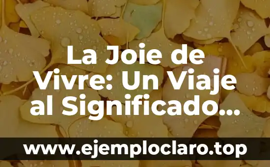 La Joie de Vivre: Un Viaje al Significado de la Alegría de Vivir