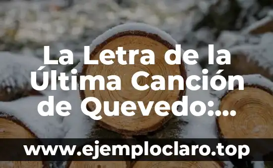 El significado de cada letra en Michelle 6 La Letra de la Última Canción de Quevedo: Un Análisis Lírico