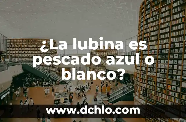¿Qué es la Aritmética? 5 ¿La lubina es pescado azul o blanco?