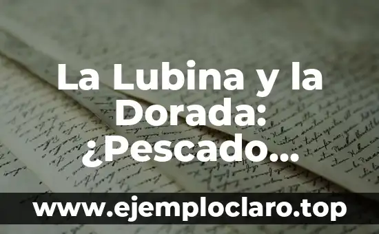 La Lubina y la Dorada: ¿Pescado Blanco o Azul?