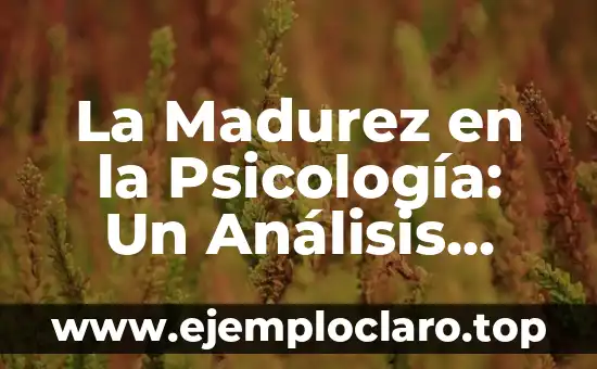 La Madurez en la Psicología: Un Análisis Detallado