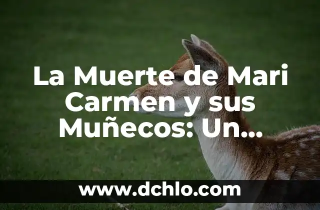 Muñecos Típicos de México: Símbolos de Nuestra Herencia Cultural 6 La Muerte de Mari Carmen y sus Muñecos: Un Fenómeno de la Cultura Popular