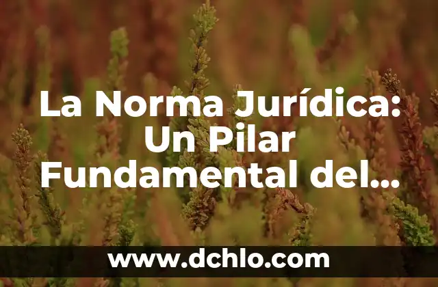 Cifra: Un Concepto Fundamental en las Matemáticas 4 La Norma Jurídica: Un Pilar Fundamental del Derecho