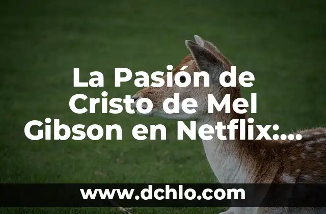 El significado después de Cristo 5 La Pasión de Cristo de Mel Gibson en Netflix: La Historia detrás de la Película