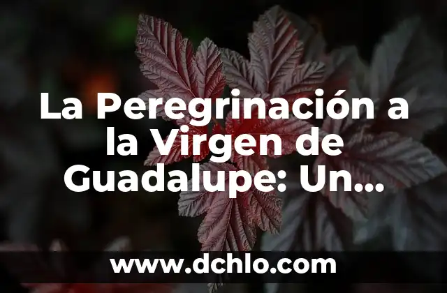 Peregrinación a los 7 Templos, un Recorrido Lleno de Significado 3 La Peregrinación a la Virgen de Guadalupe: Un Viaje de Fe y Devoción