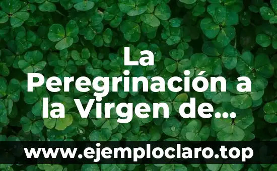 La Peregrinación a la Virgen de Guadalupe: Un Viaje de Fe y Devoción