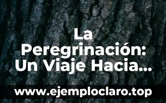 La Peregrinación: Un Viaje Hacia Lo Unknown