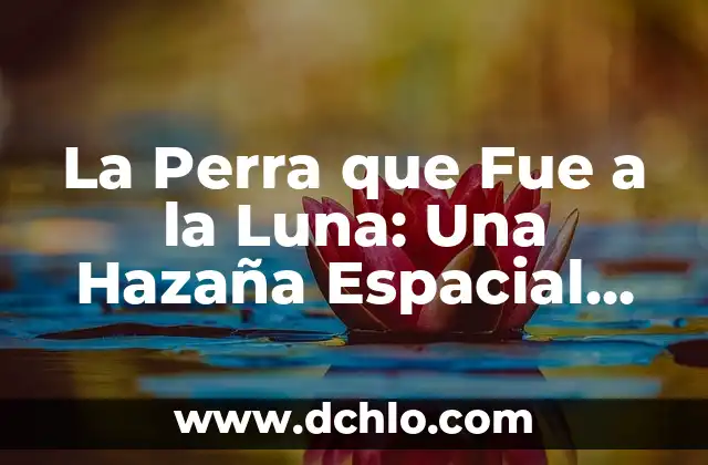 Significado de Pug: Todo Sobre esta Raza Canina 7 La Perra que Fue a la Luna: Una Hazaña Espacial Canina