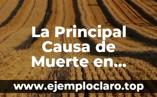 La Principal Causa de Muerte en España: ¿Cuál es la Razón?