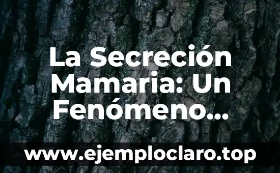 La Secreción Mamaria: Un Fenómeno Natural