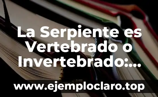 La Serpiente es Vertebrado o Invertebrado: Descubre la Verdad
