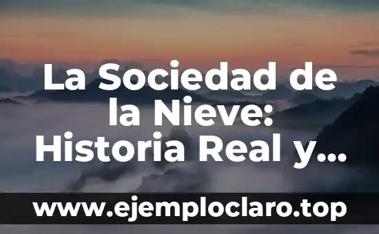 La Teoría del Argumento de la Sociedad de la Nieve: Un Análisis Profundo 6 La Sociedad de la Nieve: Historia Real y Fotos Impactantes