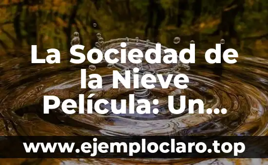 La Teoría del Argumento de la Sociedad de la Nieve: Un Análisis Profundo 4 La Sociedad de la Nieve Película: Un Análisis Profundo