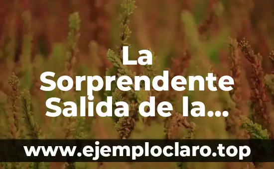 La Sorprendente Salida de la Cárcel de Dani Alves: Todo lo que Necesitas Saber