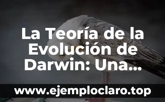 La Teoría de la Evolución de Darwin: Una Revolución en la Biología