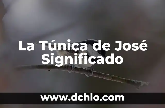 Significado de San José El Mogote 3 La Túnica de José Significado