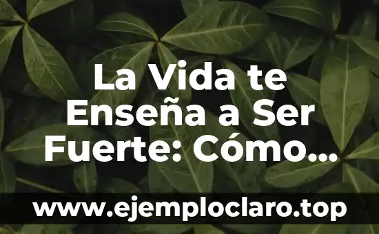 La Vida te Enseña a Ser Fuerte: Cómo Sobrellevar los Desafíos