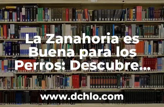 ¿Es la Manzanilla Buena para la Diarrea? - Propiedades y Beneficios 8 La Zanahoria es Buena para los Perros: Descubre los Beneficios