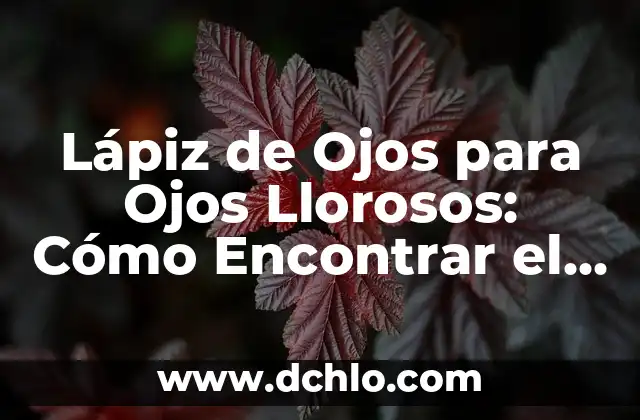Cómo hacer lápiz de ojos casero 5 Lápiz de Ojos para Ojos Llorosos: Cómo Encontrar el Mejor Producto para Tu Sensibilidad