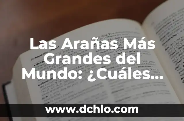 El misterioso mundo de las arañas 5 Las Arañas Más Grandes del Mundo: ¿Cuáles Son las Especies más Impresionantes?