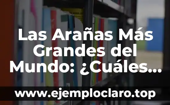 Las Arañas Más Grandes del Mundo: ¿Cuáles Son las Especies más Impresionantes?