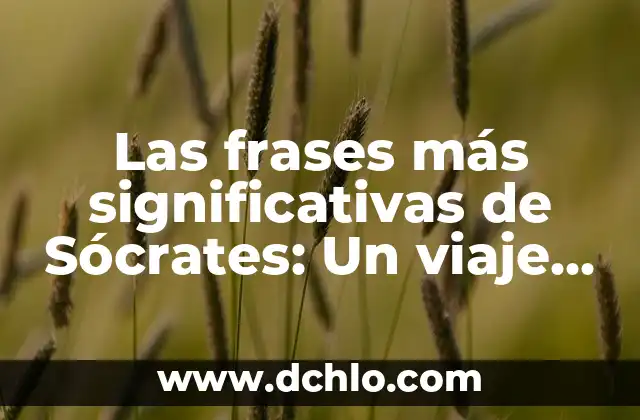 Significado Bíblico de los Colores: Un Viaje a Través de la Simbología Divina 4 Las frases más significativas de Sócrates: Un viaje a la sabiduría del filósofo griego