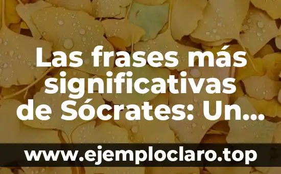 Frases del significado de felicidad: Un viaje al corazón de la alegría 3 Las frases más significativas de Sócrates: Un viaje a la sabiduría del filósofo griego
