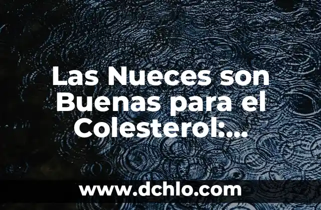 ¿Es el Colesterol LDL Bueno o Malo? Descubre la Verdad 3 Las Nueces son Buenas para el Colesterol: Descubre los Beneficios