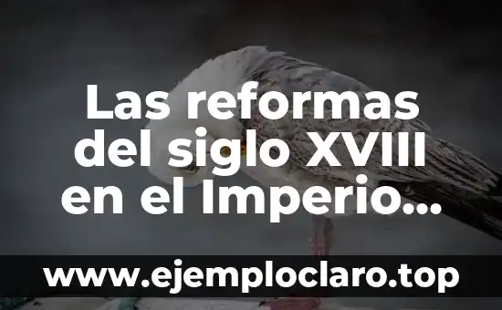 Las reformas del siglo XVIII en el Imperio Español