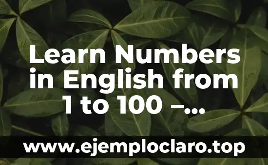 Learn Numbers in English from 1 to 100 - Complete Guide