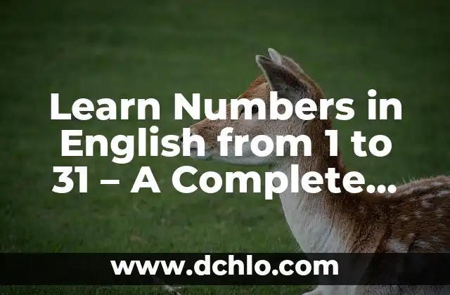 Learn Numbers in English from 1 to 100 - Complete Guide 5 Learn Numbers in English from 1 to 31 – A Complete Guide