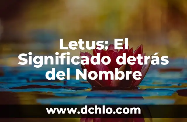 ¿Qué le pasó a Almudena Cid? La trágica historia detrás de la gimnasta española 4 Letus: El Significado detrás del Nombre