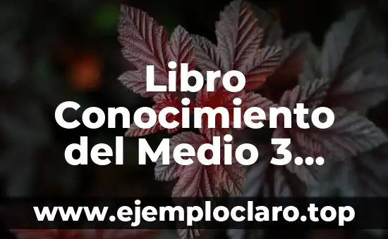 La Habilidad de Conocer: Un Viaje al Conocimiento y la Sabiduría 6 Libro Conocimiento del Medio 3 Primaria PDF: Descarga Gratuita y Guía de Estudio