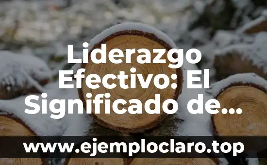 Liderazgo Efectivo: El Significado de un Buen Líder