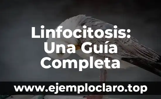 Linfocitosis: Una Guía Completa