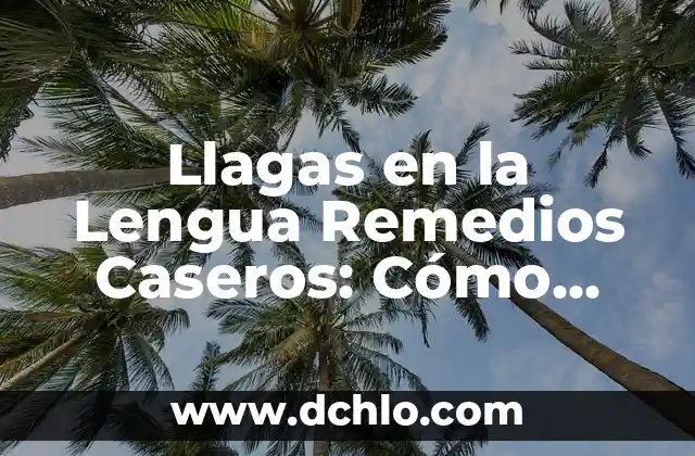 ¿Qué Tomar para Diarrea en Adultos? - Remedios Naturales y Medicamentos 6 Llagas en la Lengua Remedios Caseros: Cómo Curar la Irritación con Tratamientos Naturales