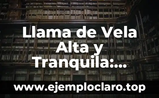 Llama de Vela Alta y Tranquila: Cómo Crear un Ambiente Relajante